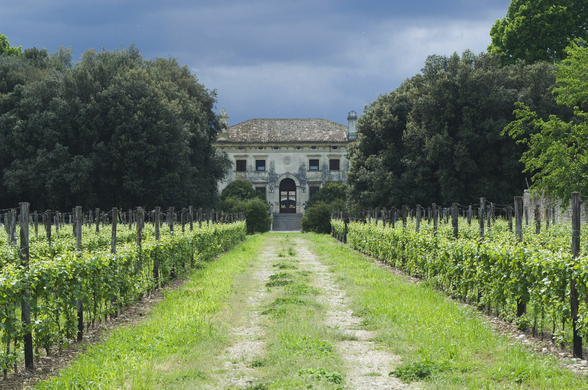 Relais Villa Sagramoso Sacchetti Verona Exterior foto